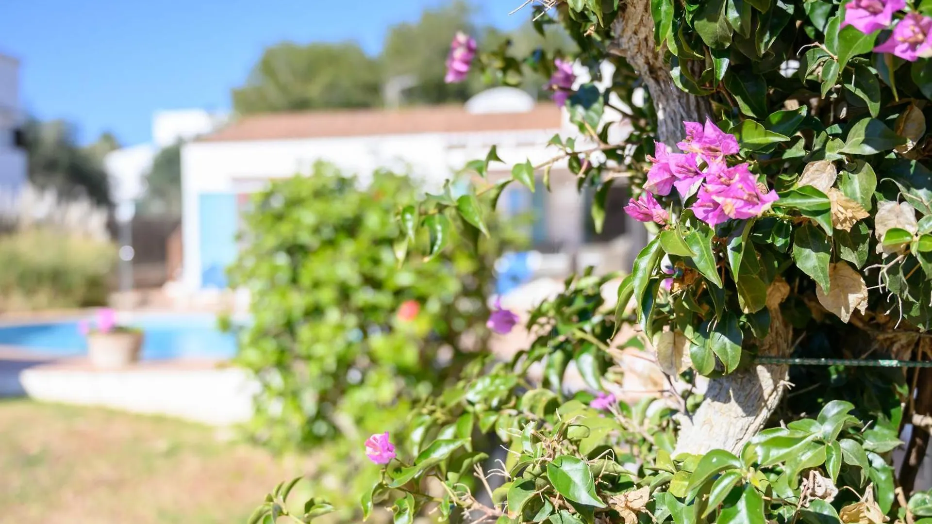 Quite Villa With Private Pool In Binibeca